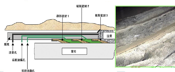 盾構(gòu)機密封件結(jié)構(gòu)