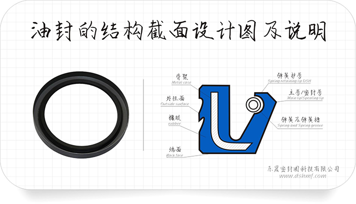 油封的外緣部4種泄漏方式及9條原因分析匯報！油封的唇口10種泄漏原因及26條分析結(jié)果表！