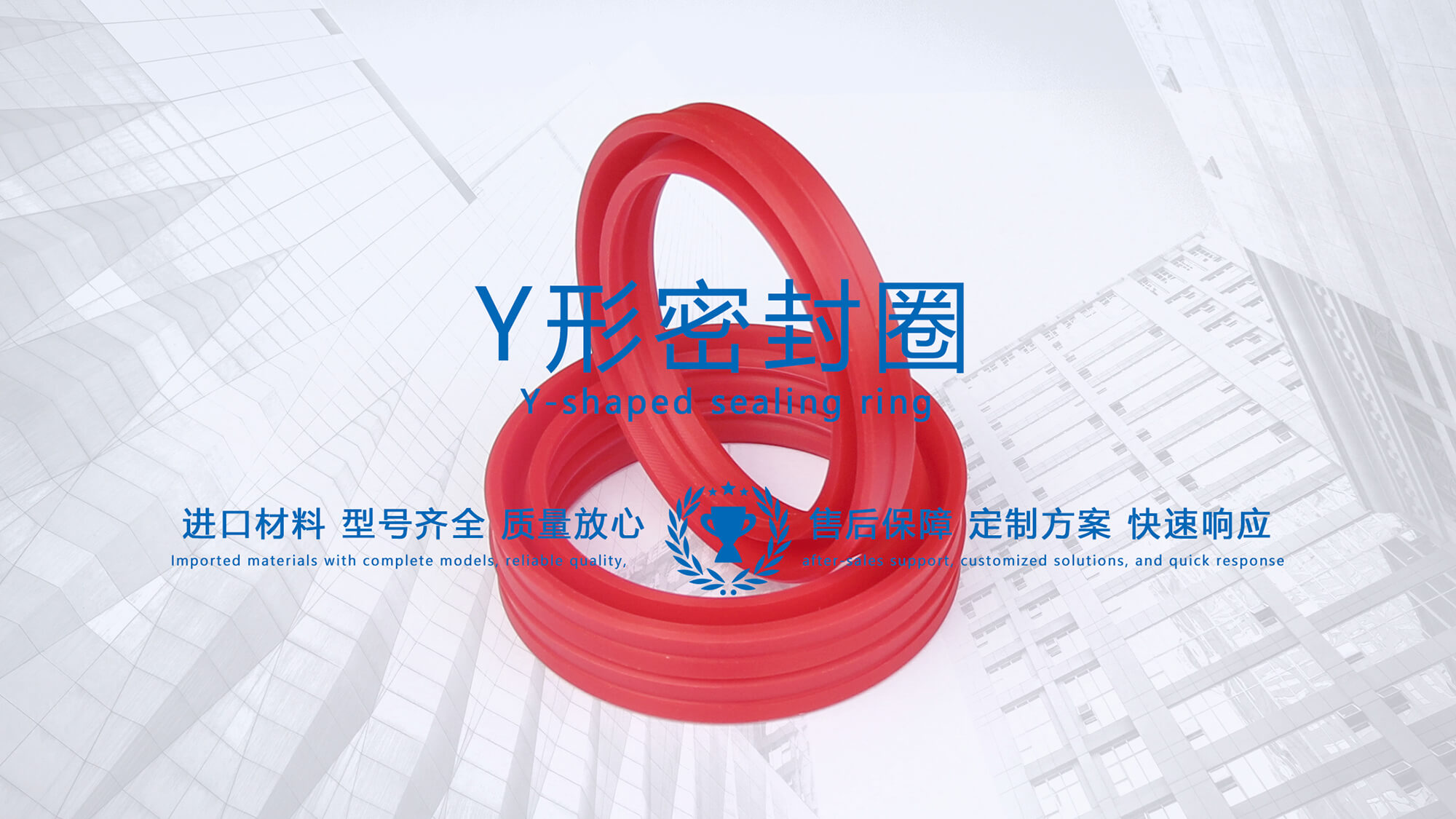 y型密封圈（又Y形密封圈，Y形圈，Y型圖或唇形密封圈，密封件油封膜片） (1)