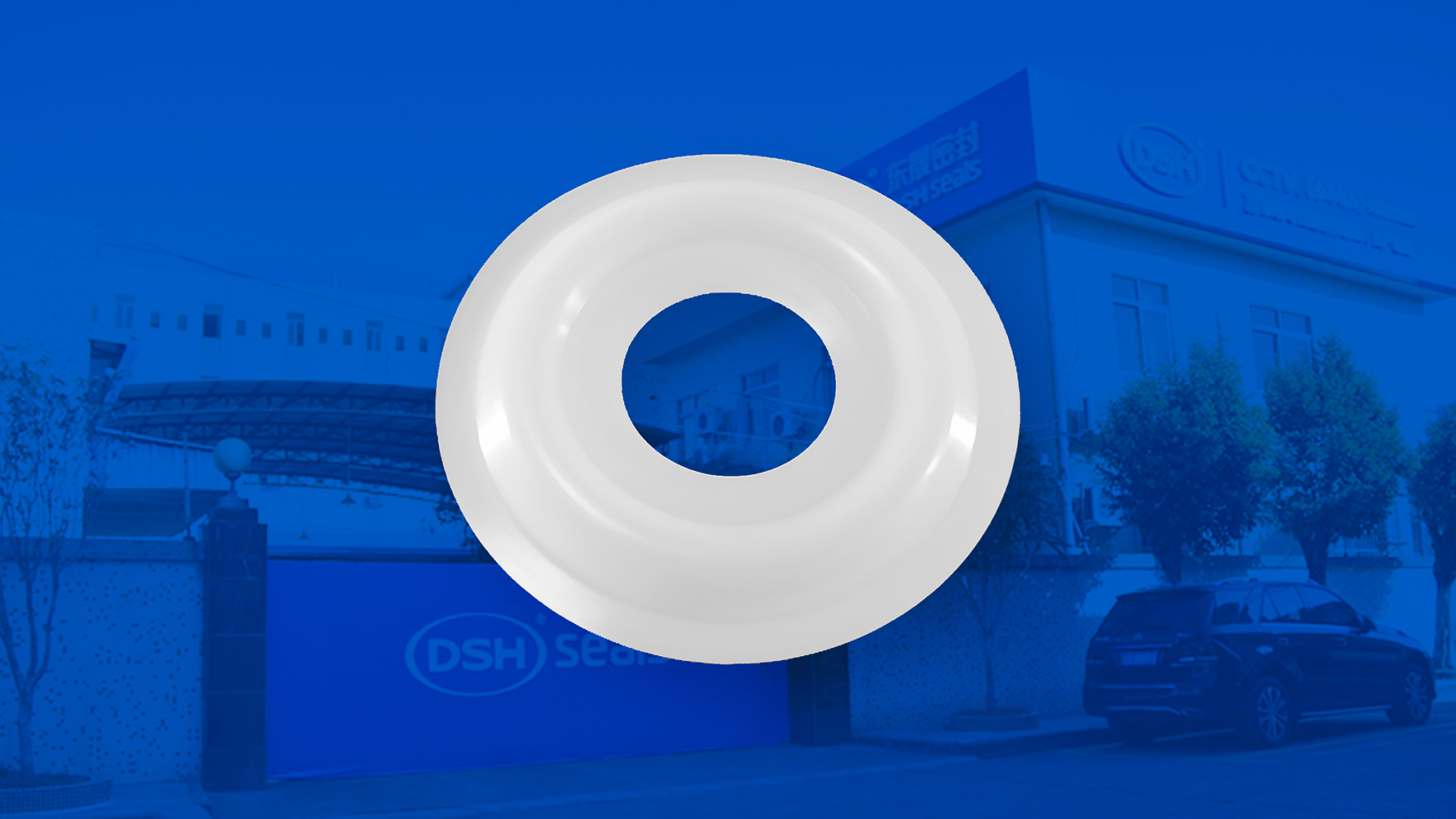 米頓羅計(jì)量泵膜片i海報(bào) （又叫隔膜、密封件、密封圈、油封） (1)