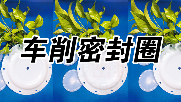 2車削密封圈，氣動隔膜泵膜片密封件